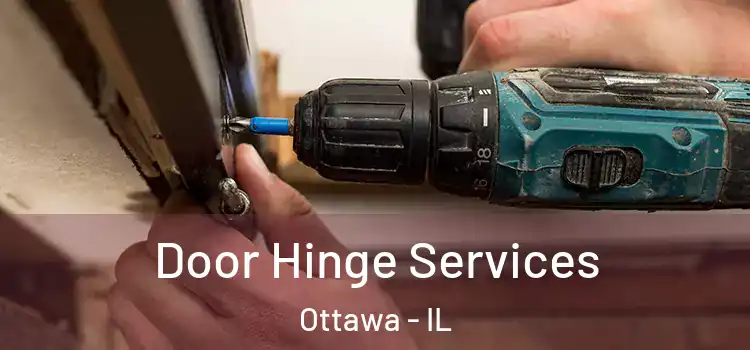 Door Hinge Services Ottawa - IL