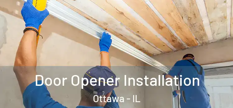 Door Opener Installation Ottawa - IL