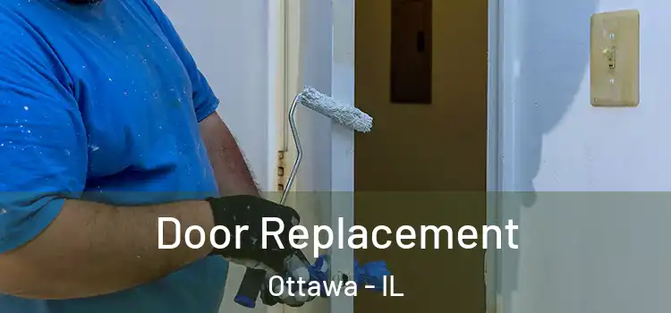 Door Replacement Ottawa - IL