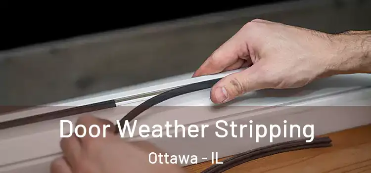  Door Weather Stripping Ottawa - IL