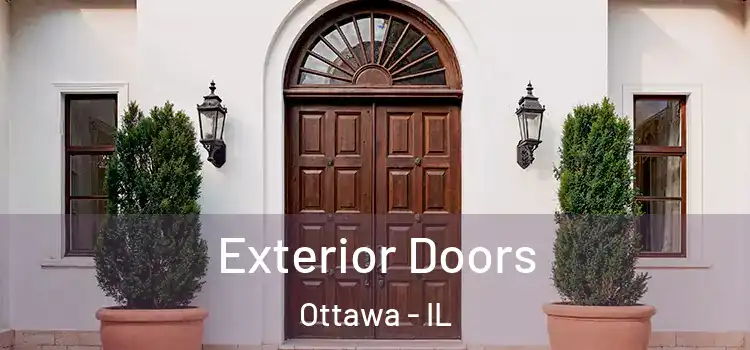  Exterior Doors Ottawa - IL