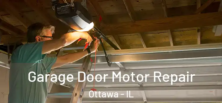  Garage Door Motor Repair Ottawa - IL