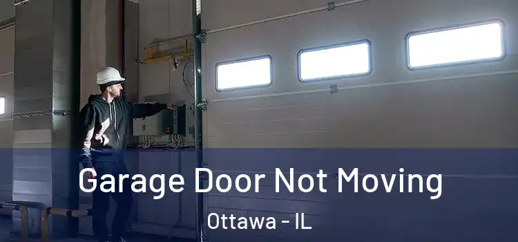  Garage Door Not Moving Ottawa - IL