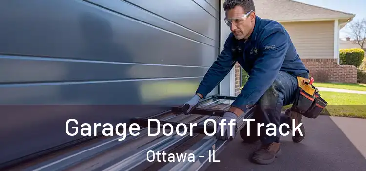  Garage Door Off Track Ottawa - IL