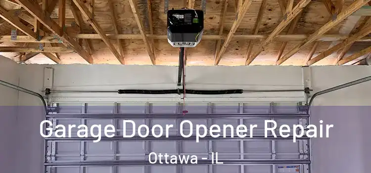  Garage Door Opener Repair Ottawa - IL