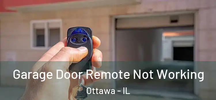  Garage Door Remote Not Working Ottawa - IL