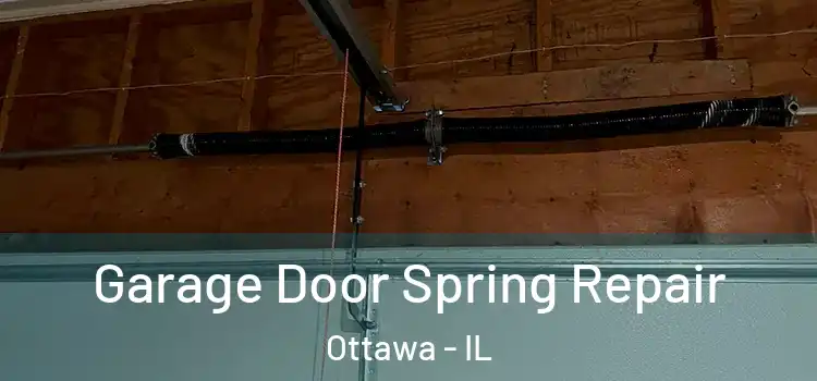  Garage Door Spring Repair Ottawa - IL