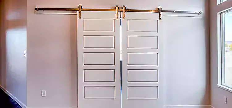 Glass Barn Door with Installation Hardware Kit Ottawa