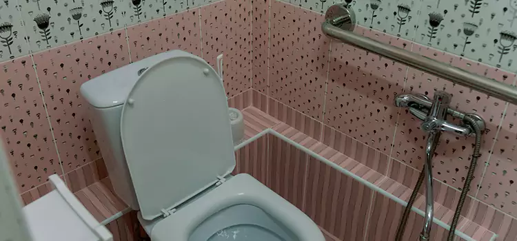 Meeting Diverse Needs With Accessible Restroom Solutions in Ottawa, IL