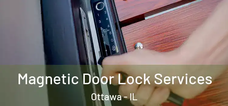 Magnetic Door Lock Services Ottawa - IL