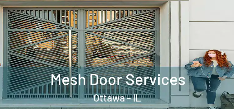 Mesh Door Services Ottawa - IL
