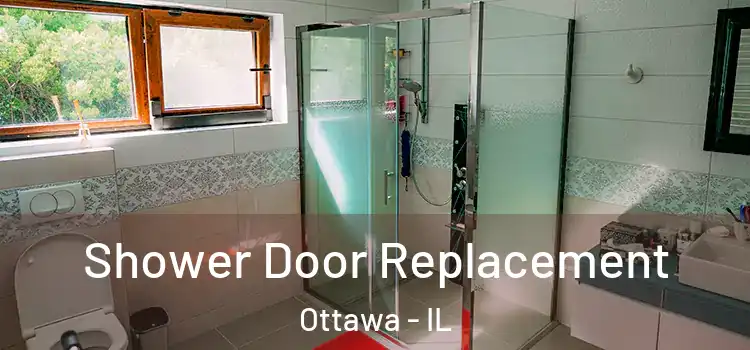  Shower Door Replacement Ottawa - IL