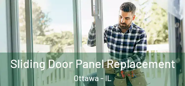  Sliding Door Panel Replacement Ottawa - IL