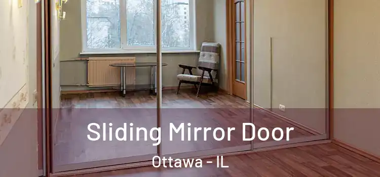  Sliding Mirror Door Ottawa - IL