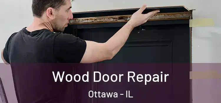  Wood Door Repair Ottawa - IL